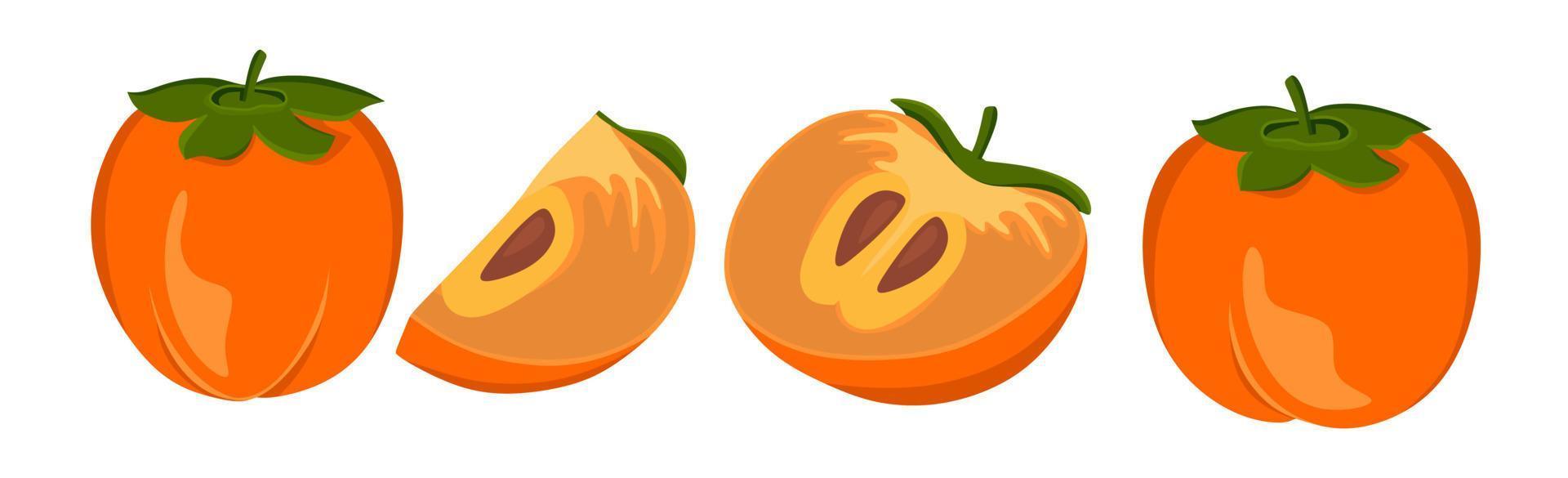 Persimmon set vector illustration isolated on a white background. A concept for stickers, posters, postcards, websites
