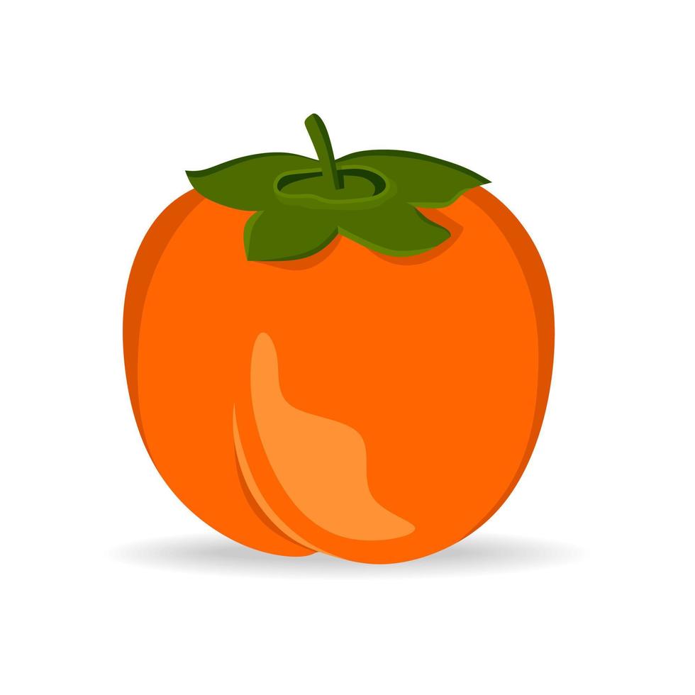 Persimmon, vector illustration isolated on a white background. A concept for stickers, posters, postcards, websites