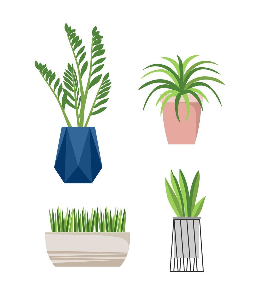 un conjunto de elegantes plantas de interior de moda para la casa. Aislado en un fondo blanco. dracaena, monstera, boj, spatifilum, ficus benjamin, piña, zamiokulkas. vector plano de color