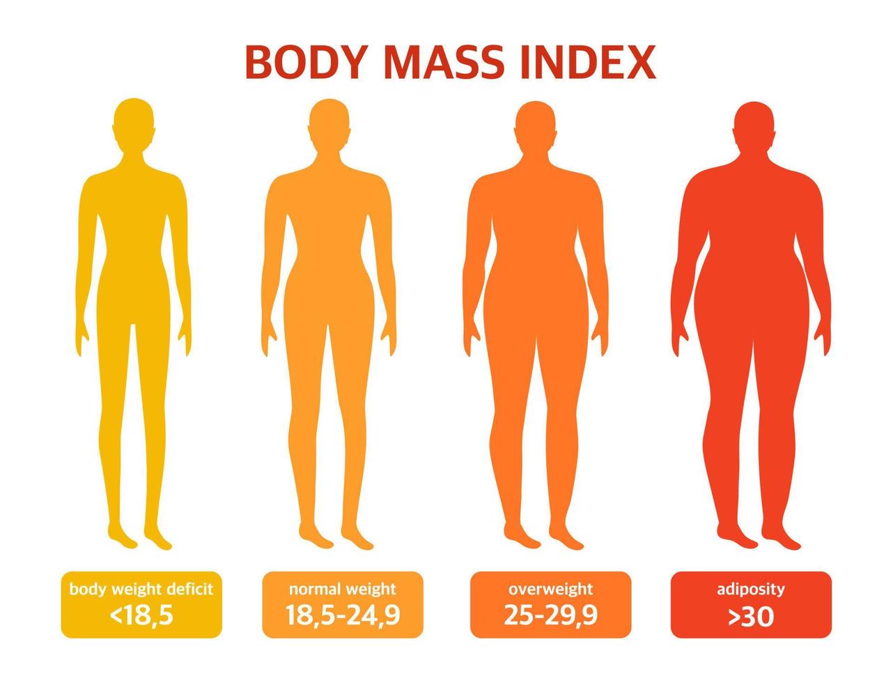 Different types of shapes. Body mass index. The concept of body positivity and diet. vector