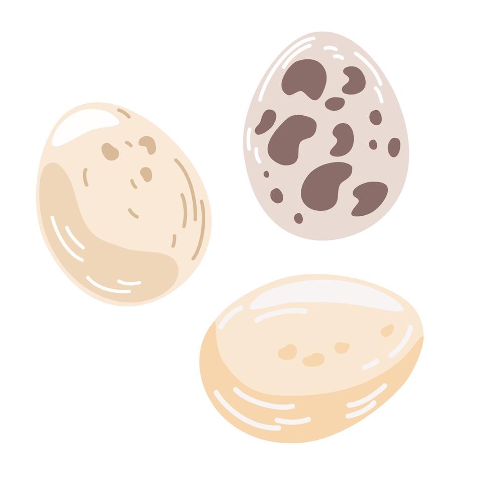 Chicken eggs. Set of chicken and quail eggs. Healthy protein food. Perfect for cooking, restaurant, menus, recipes and printing. Hand drawn vector illustration