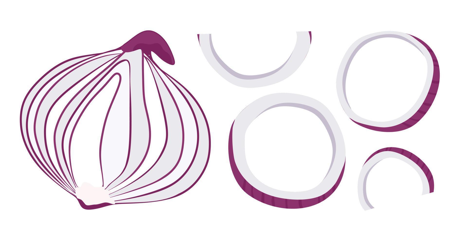 Onion in the cut and half-rings set. Vector illustration. A concept for stickers, posters, postcards, websites and mobile applications.