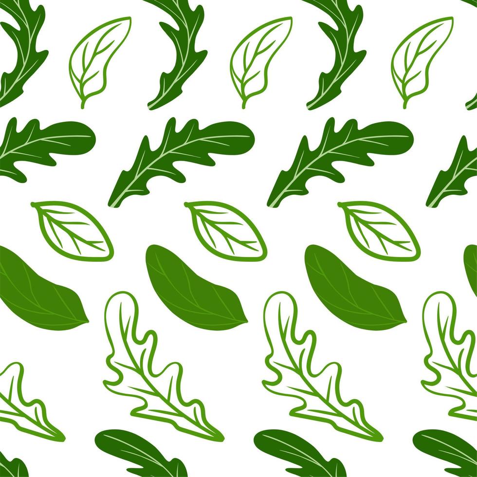 Arugula and basil leaves pattern on a white background. For use on textiles, packaging paper, souvenirs, printing, posters, postcards. vector