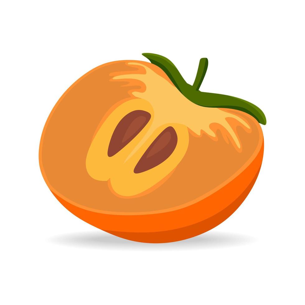 Persimmon, vector illustration isolated on a white background. A concept for stickers, posters, postcards, websites