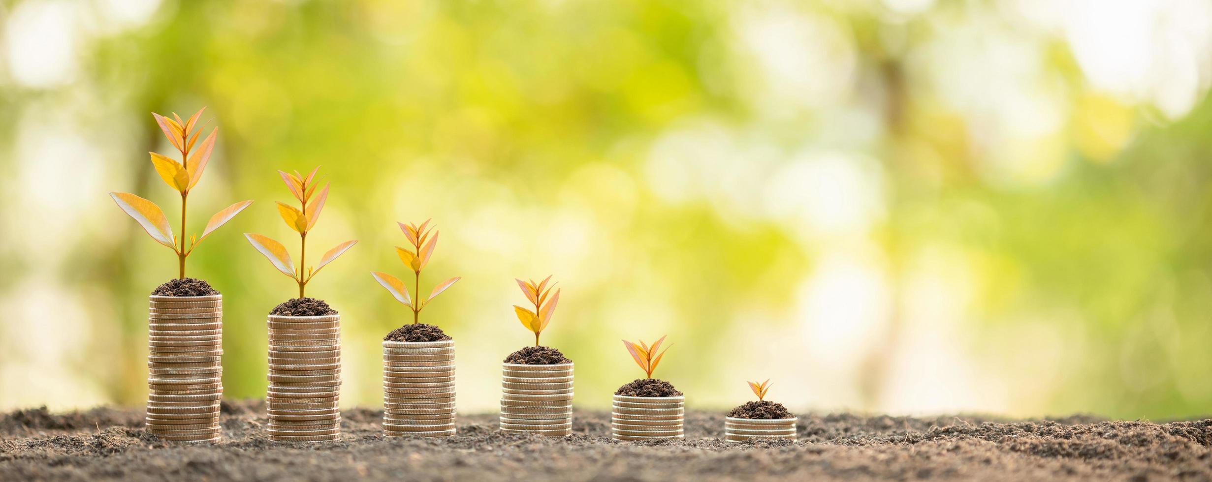 pila de monedas con brote verde joven en la parte superior. éxito empresarial, concepto financiero o de crecimiento del dinero foto