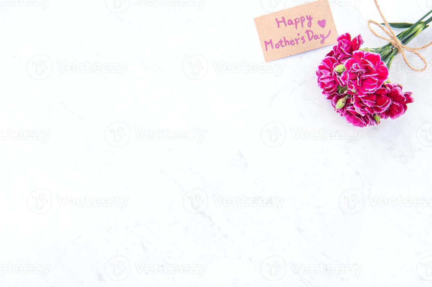 May mothers day idea concept photography - Beautiful blooming carnations tied by bow with kraft text card isolated on bright modern table, copy space, flat lay, top view, mock up photo