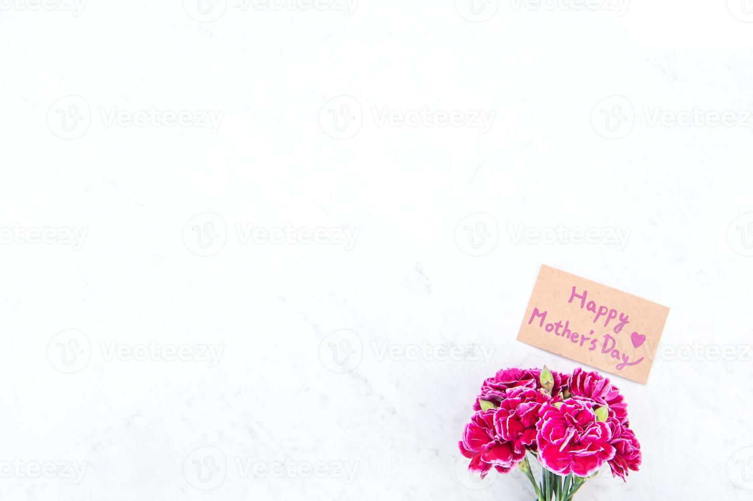 May mothers day idea concept photography - Beautiful blooming carnations tied by bow with kraft text card isolated on bright modern table, copy space, flat lay, top view, mock up photo