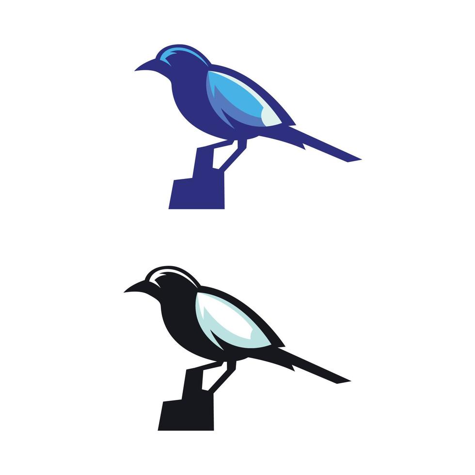 diseño de logotipo de animal de pájaro azul vector