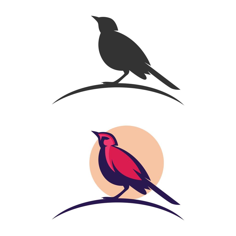 plantillas vectoriales de diseño de logotipo de pájaro vector