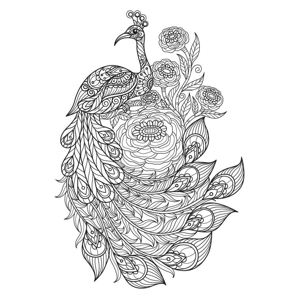 Peacock and flowers hand drawn for adult coloring book vector