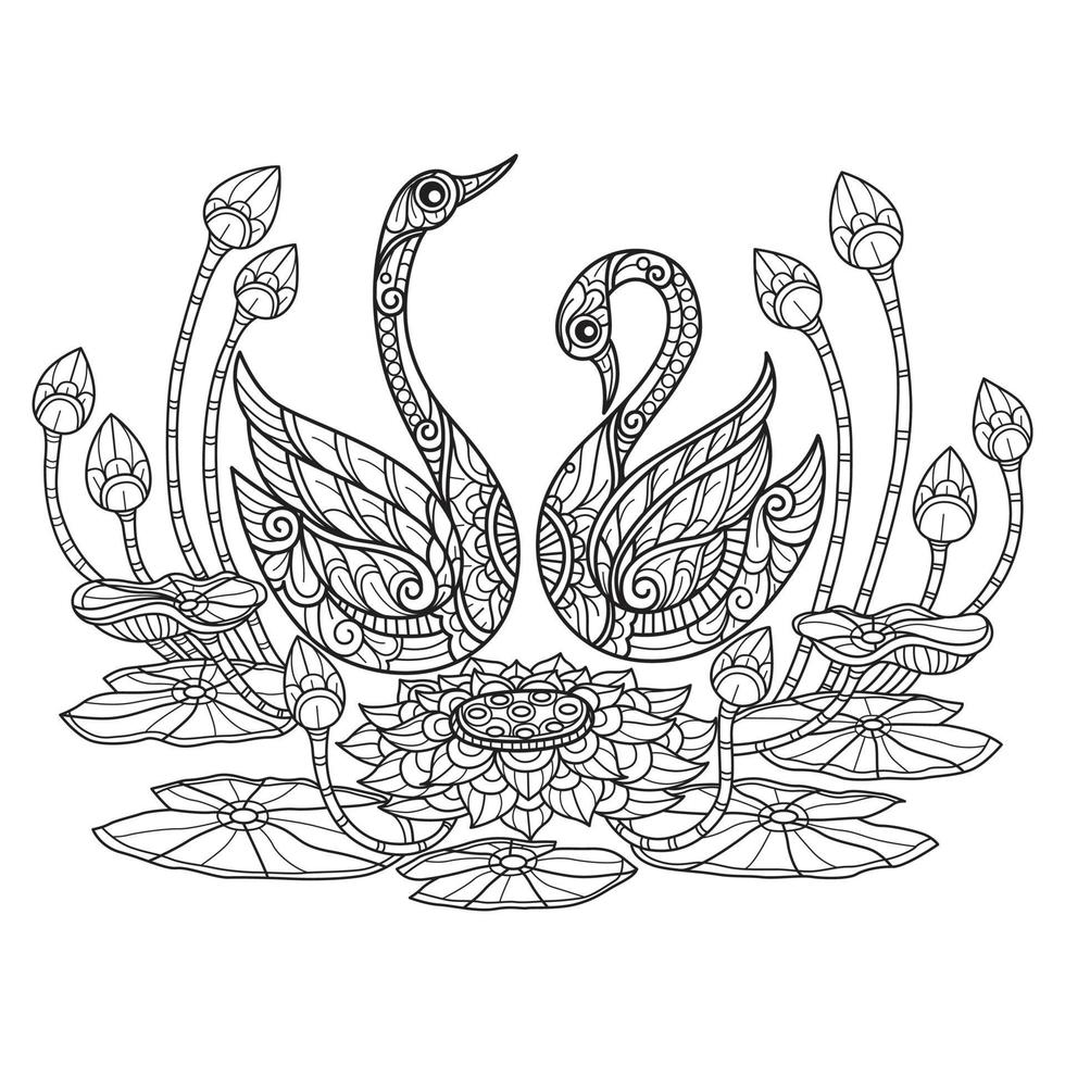 Swan and lotus hand drawn for adult coloring book vector