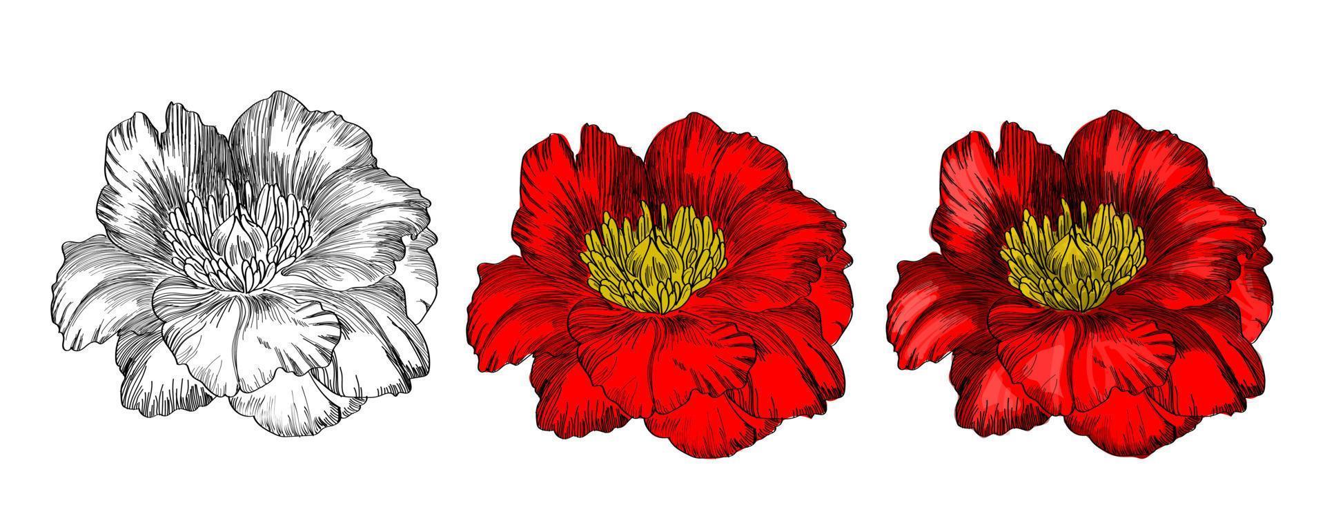 vector red flower.