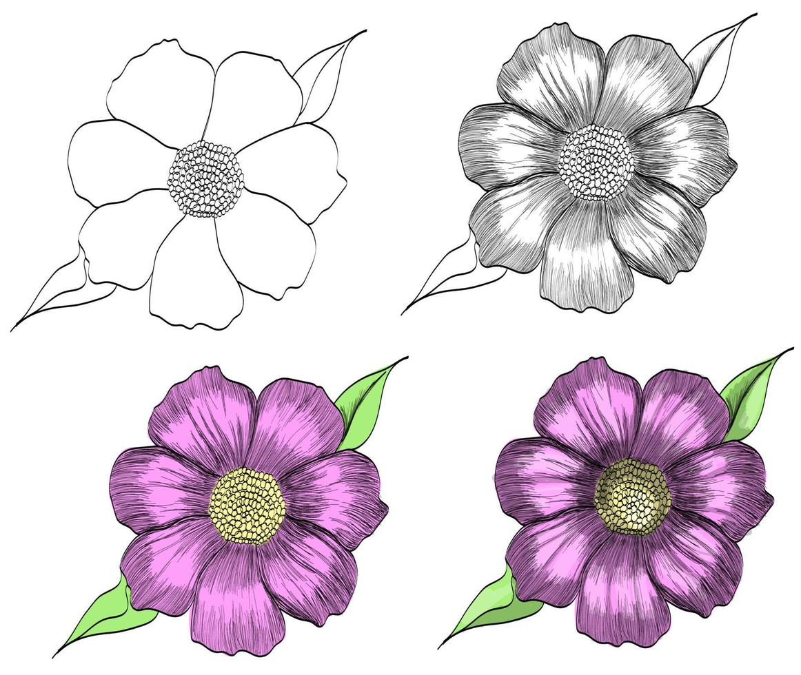 cute little vector flower with out and sketch.