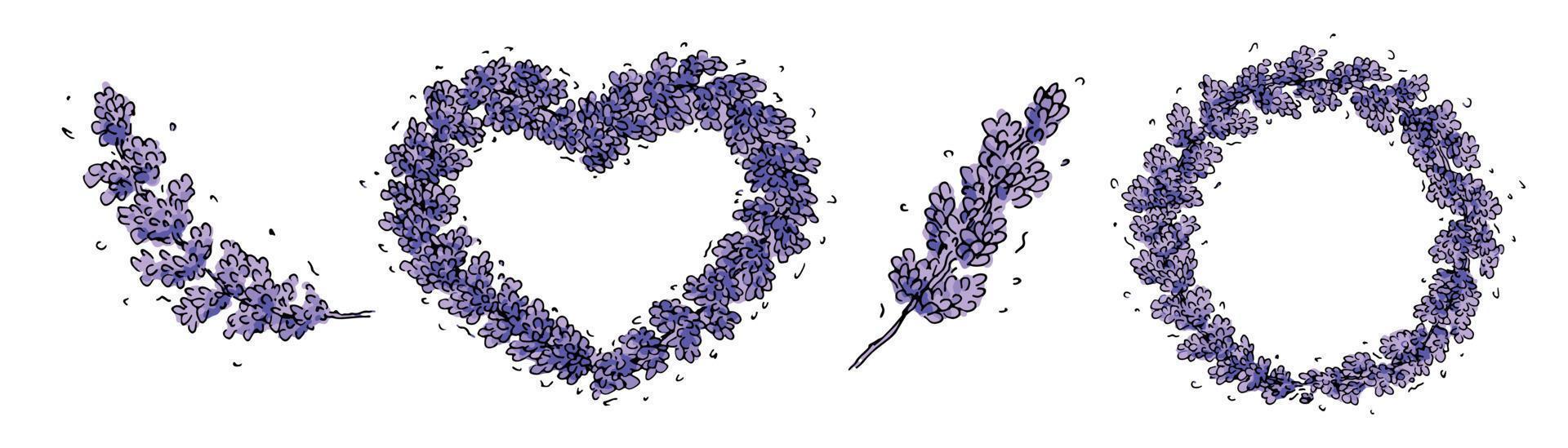 conjunto de vectores dibujados a mano de rama de lavanda aislada sobre fondo blanco. marco redondo, marco de corazón. plantilla para tarjeta de felicitación. linda ilustración botánica.