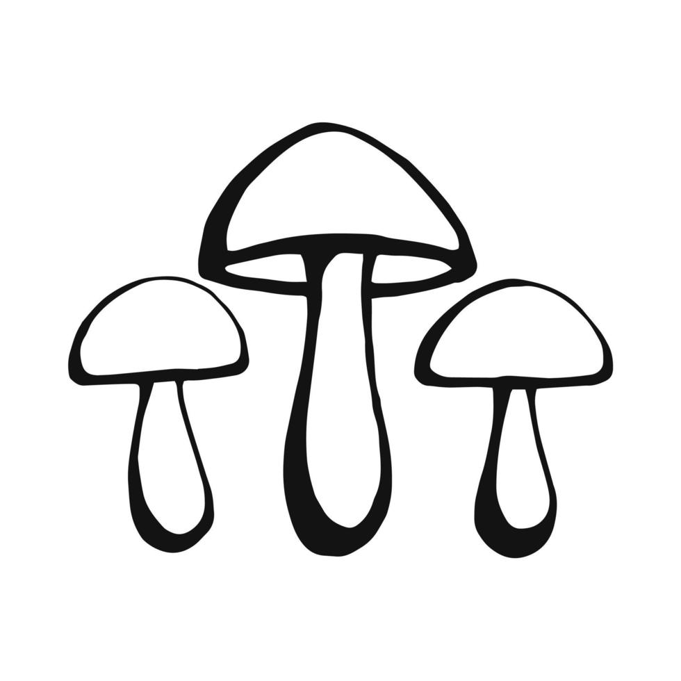 Hand drawn mushroom outline. Line art style isolated on white background. vector