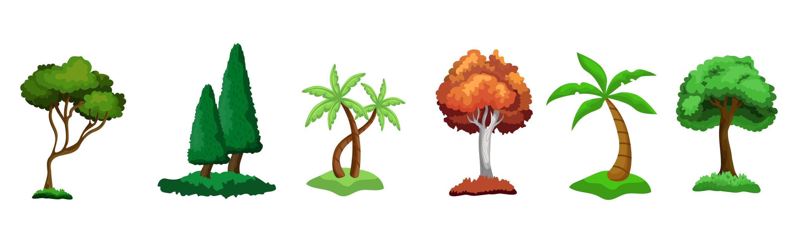 Set of 6 different trees on a white background - Vector