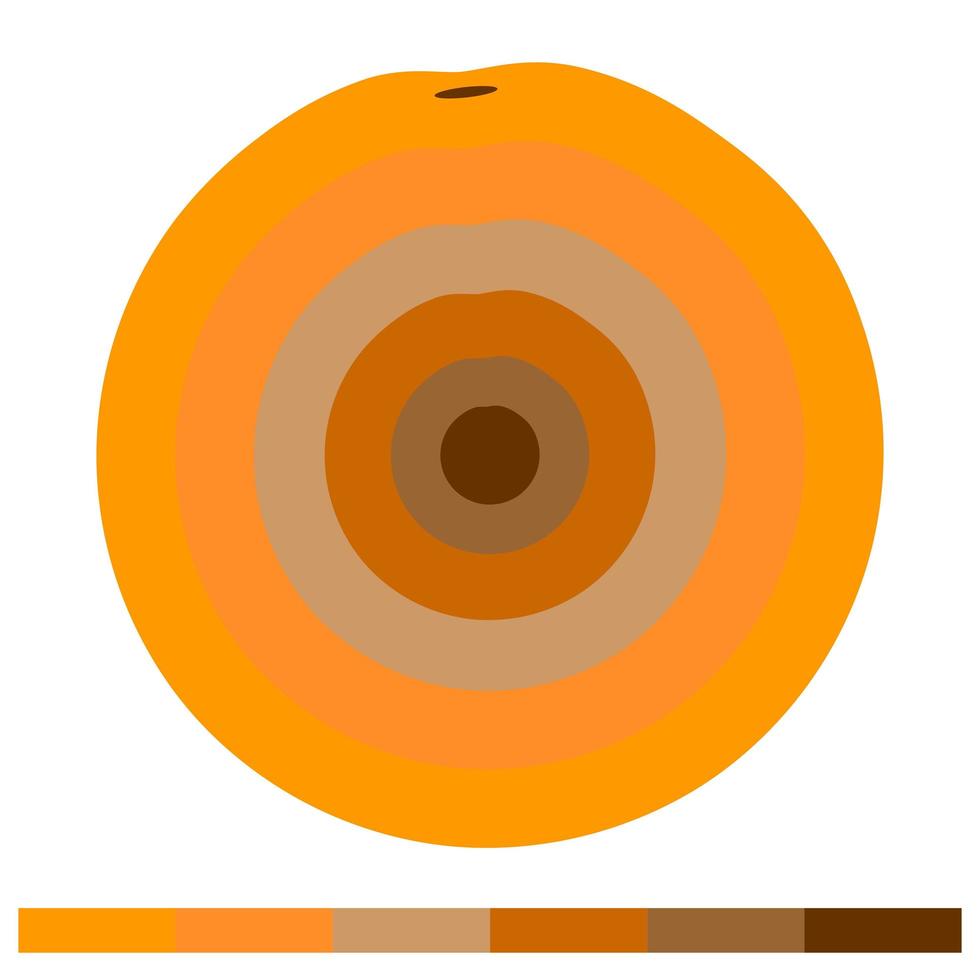 Orange 6 pcs warm shades of color - Vector