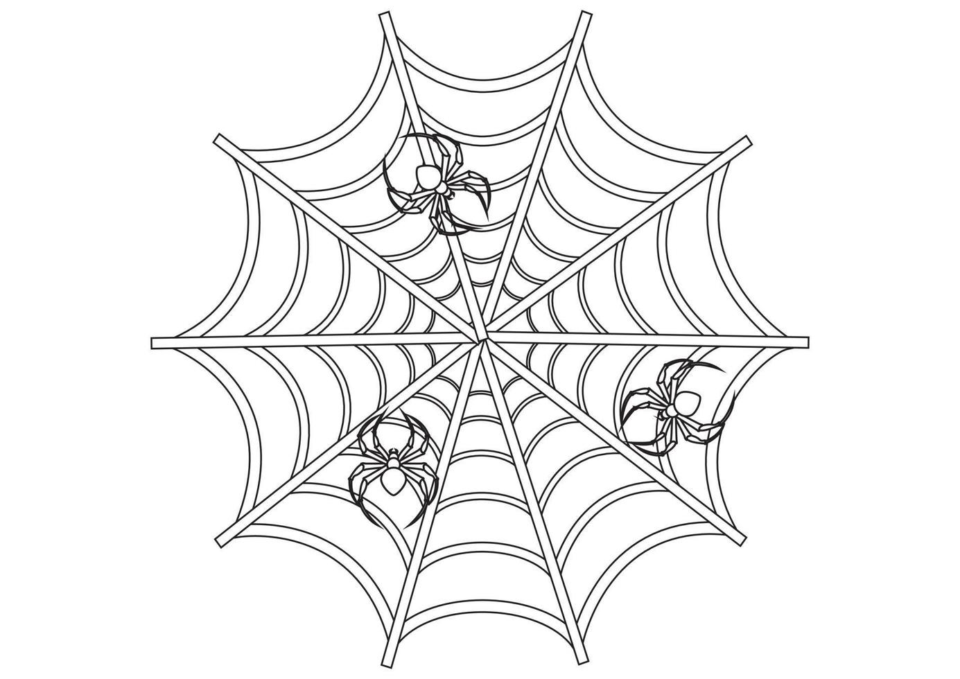 Black and white Spider. Spiderweb. Spider sitting on the spider's canvas vector