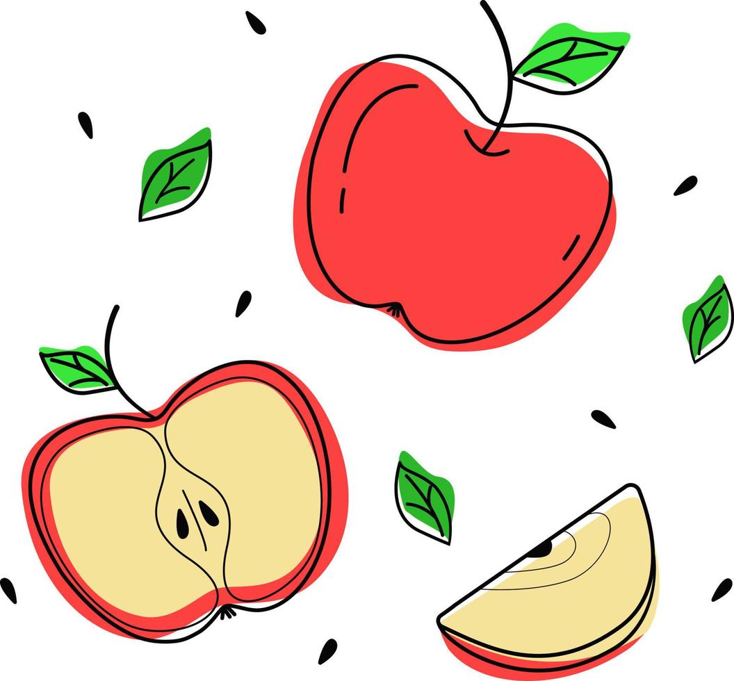 un conjunto de manzanas pintadas enteras, mitades, rodajas aisladas en un fondo blanco en un estilo plano y de dibujos animados.ilustración vectorial. elementos aislados para el diseño. vector