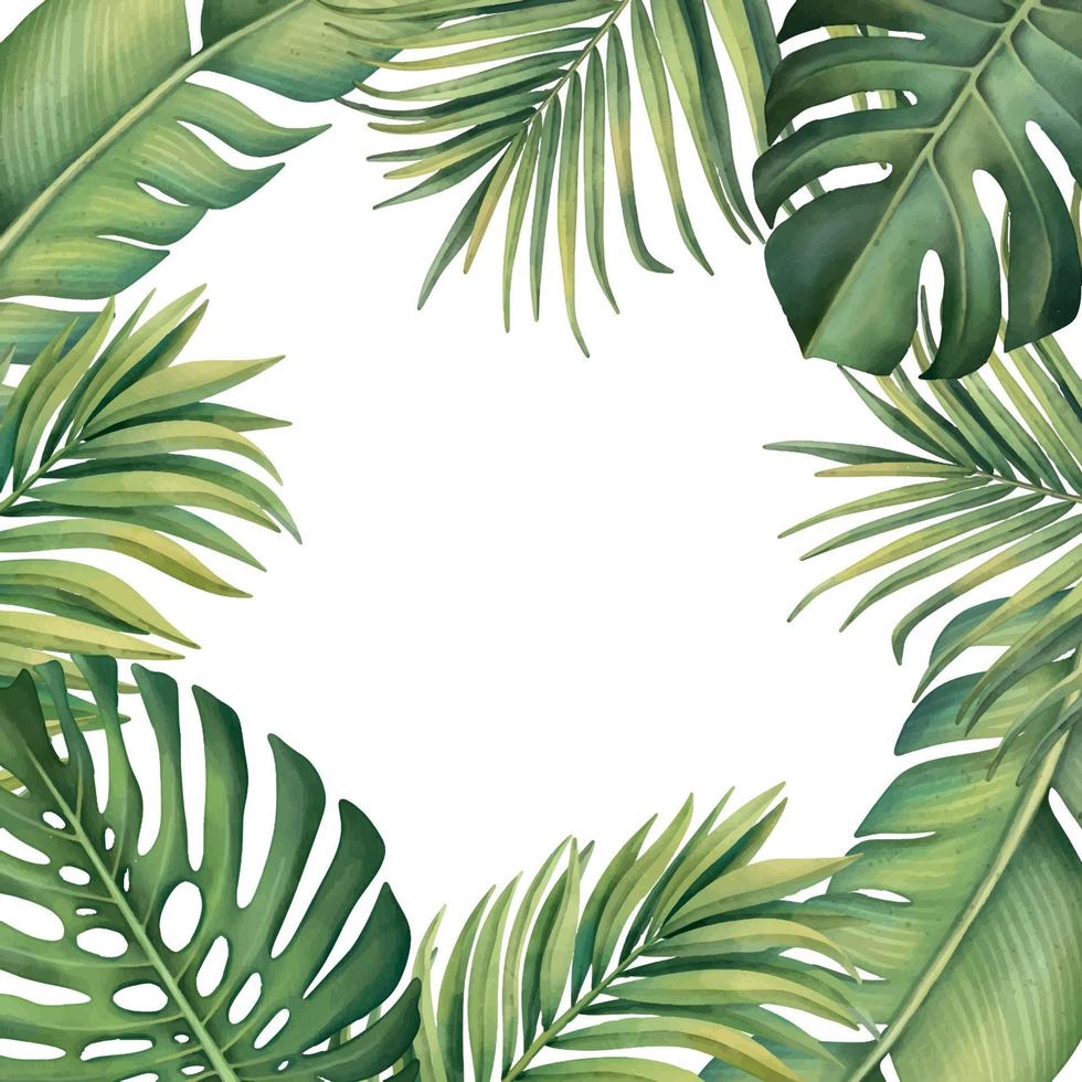 Tropical frame with plants on a white background. Watercolor hand painted, palm leaves vector