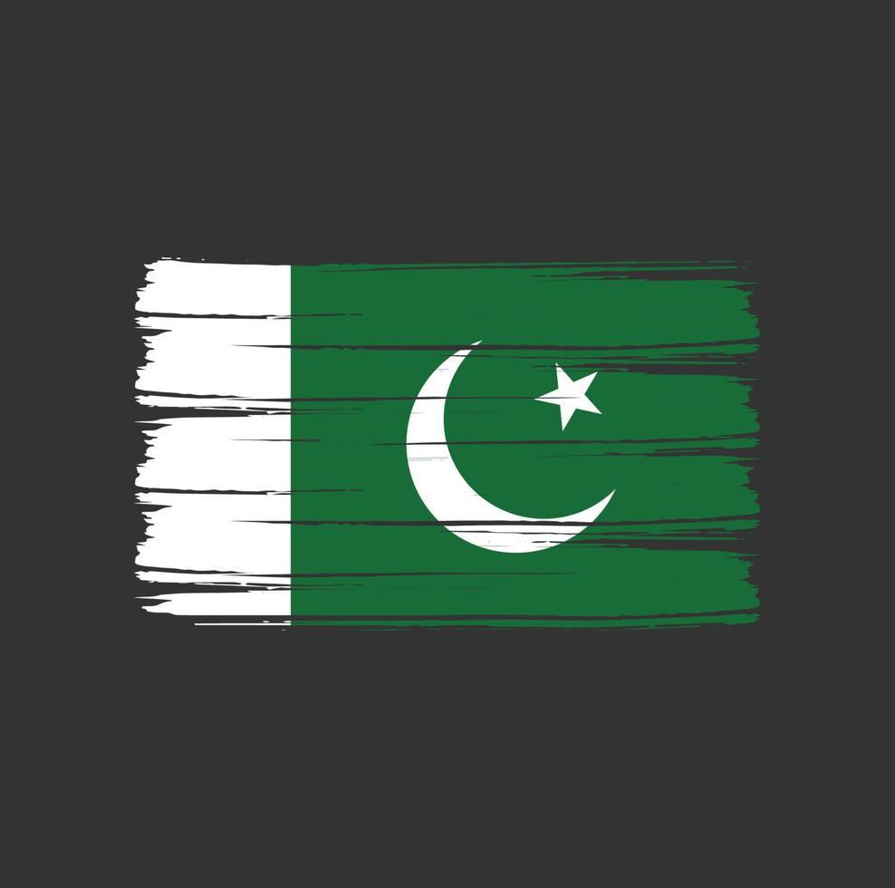 trazos de pincel de bandera de pakistán. bandera nacional vector