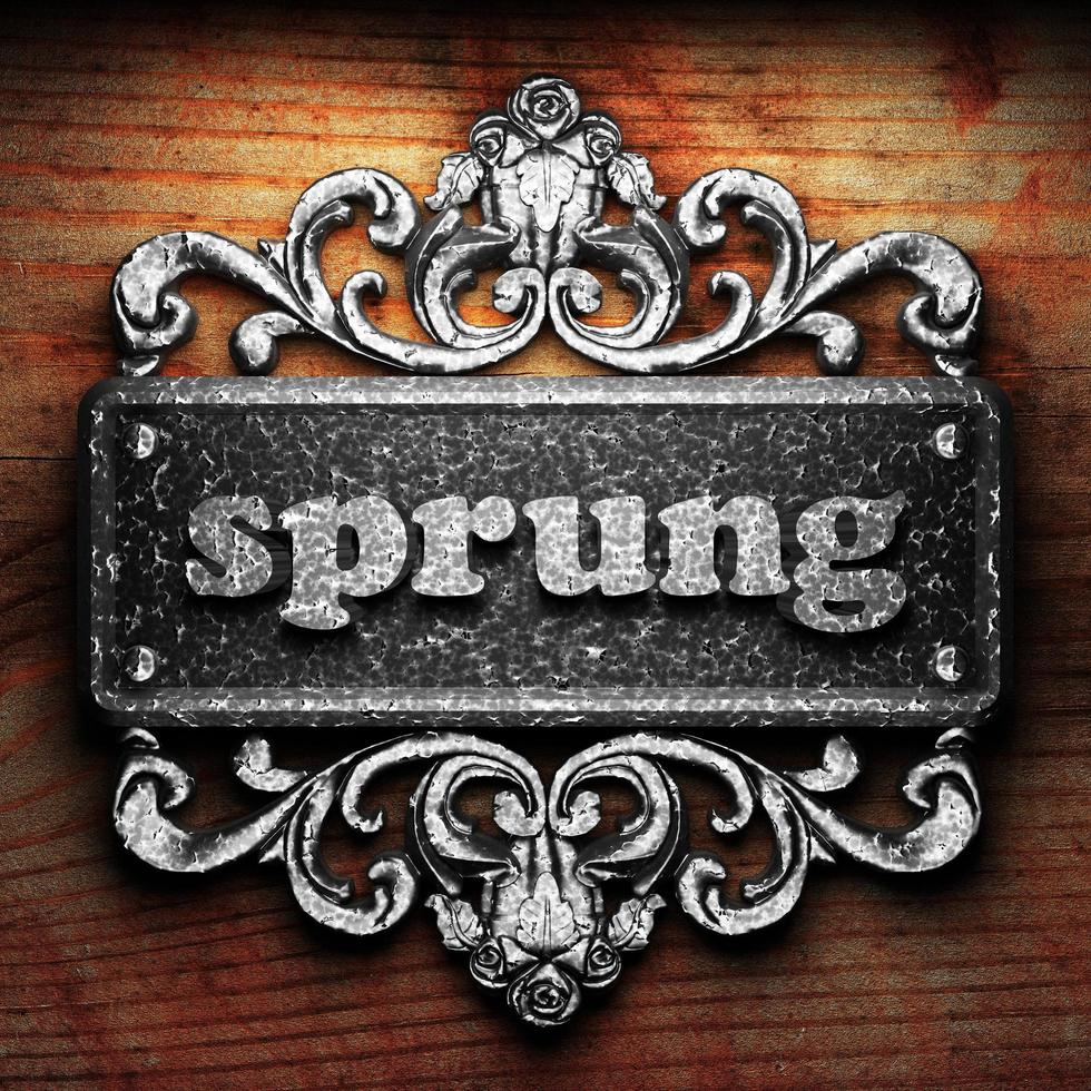 sprung word of iron on wooden background photo