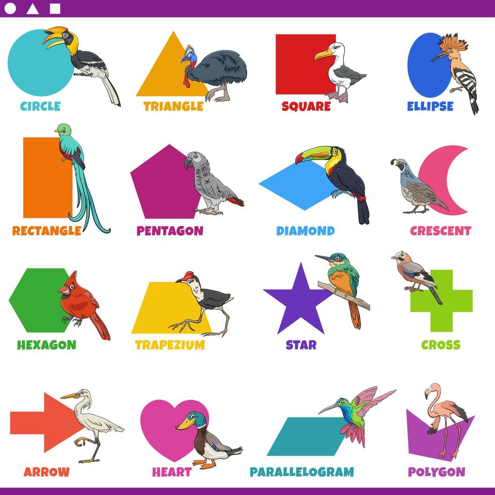 basic geometric shapes with comic birds characters set vector