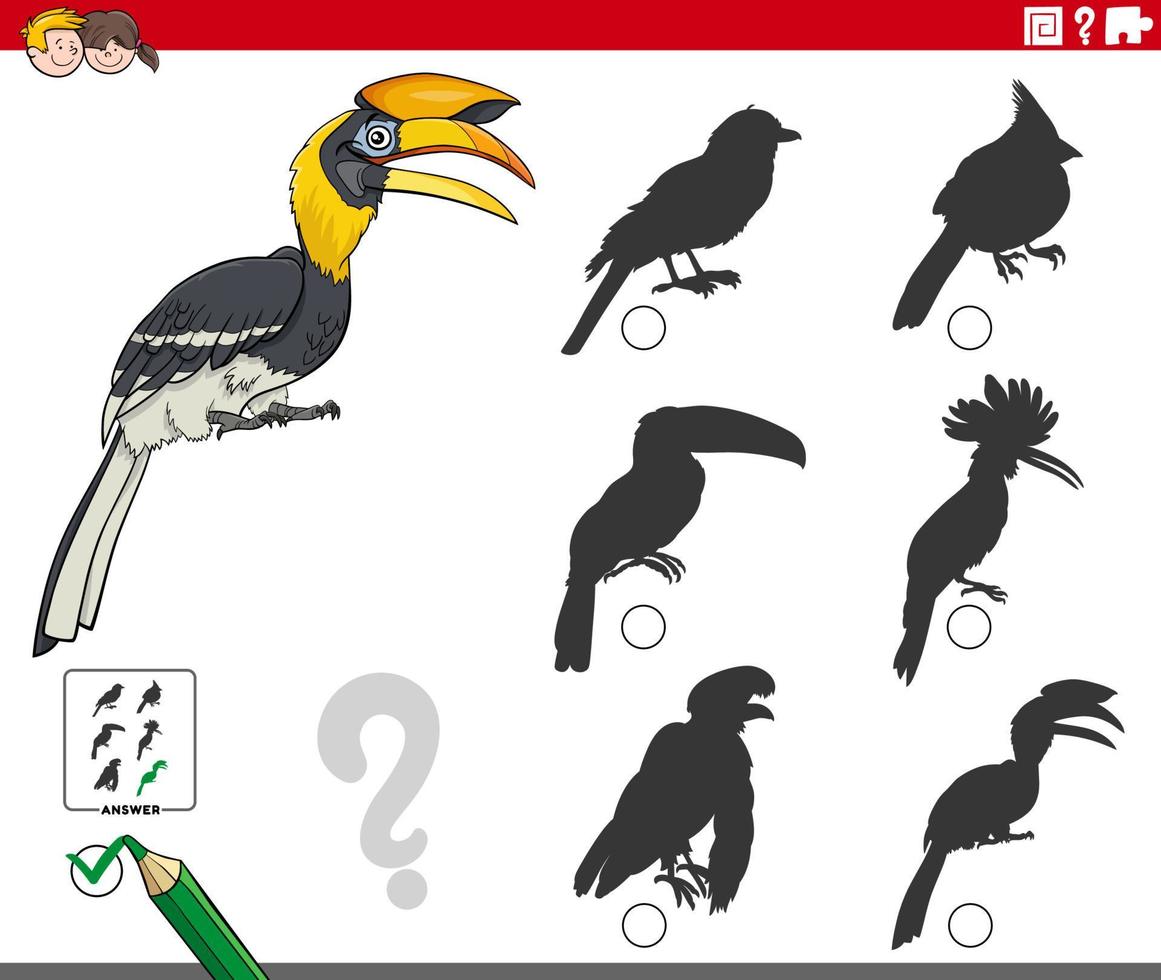 shadows task with cartoon hornbill bird animal character vector