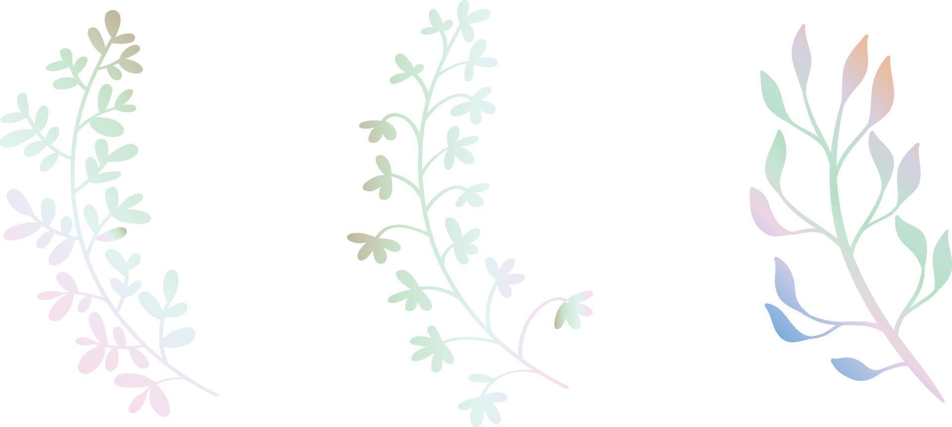 vector de ramas florales acuarela