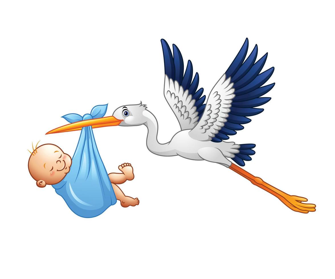 Cartoon stork carrying baby vector