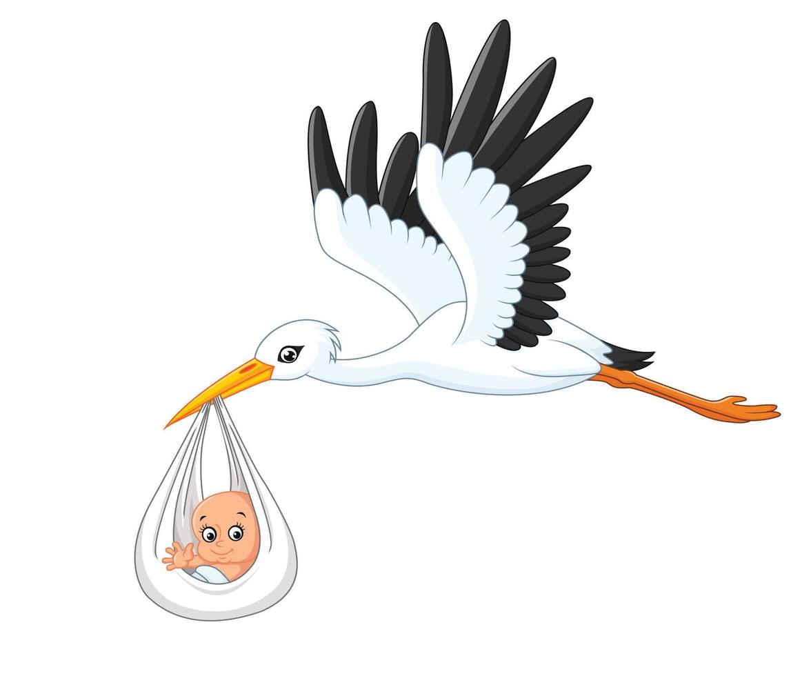 Cartoon stork carrying baby vector