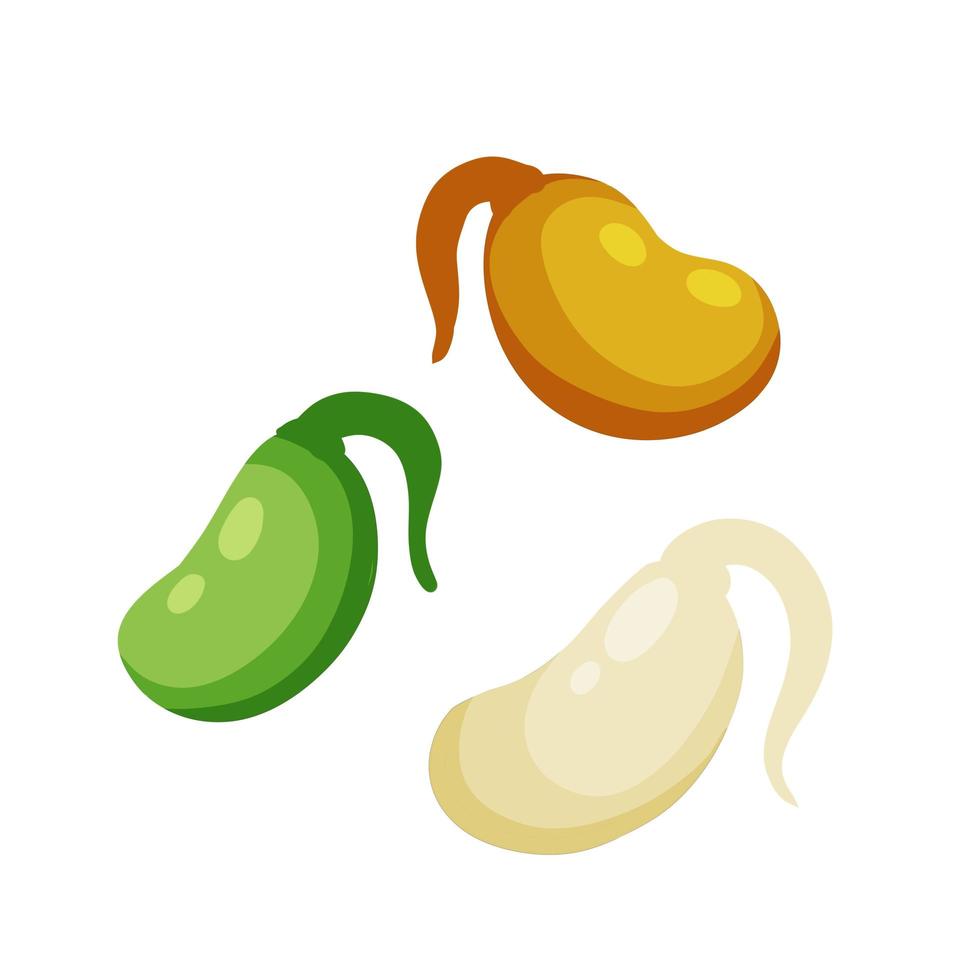 Sprouted beans. Soy grains with roots. Detox and antioxidant. vector