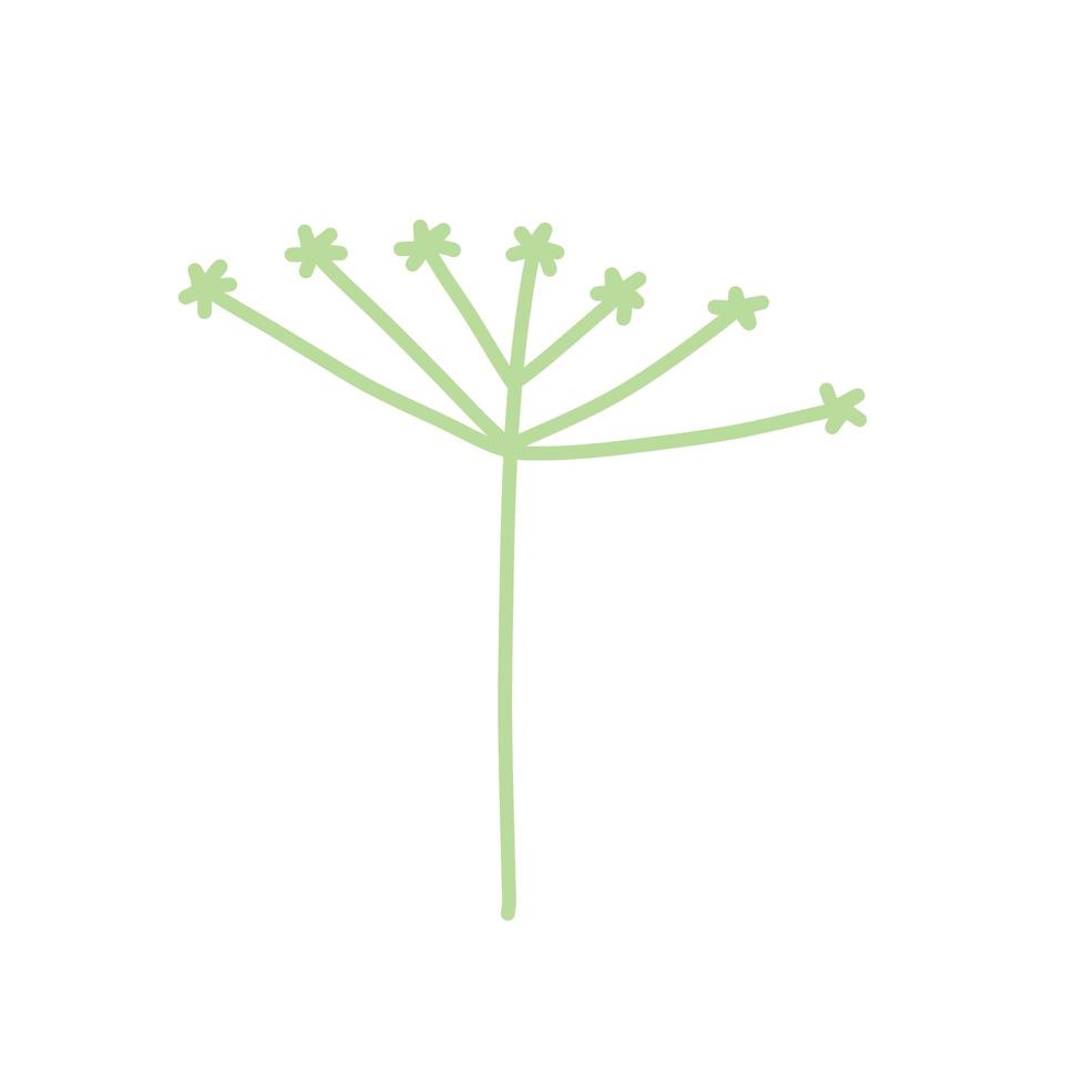 Dill in doodle style. Meadow green plant and spice. Simple natural grass vector
