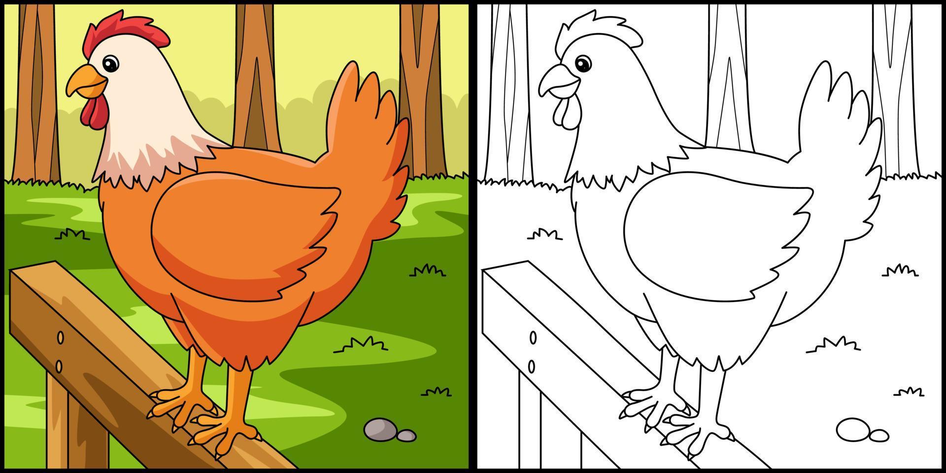 Chicken Coloring Page Colored Illustration vector
