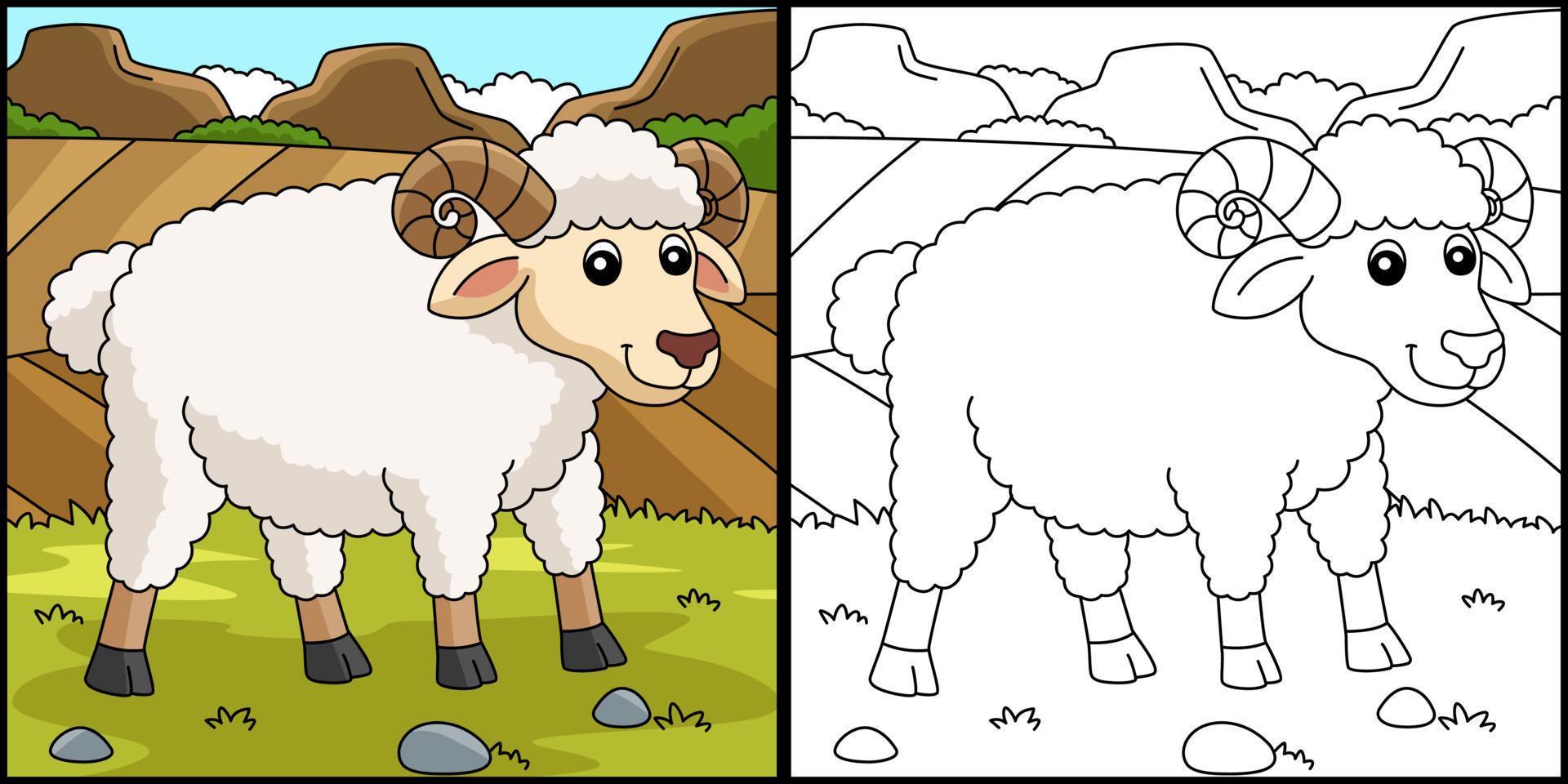 Sheep Coloring Page Colored Illustration vector