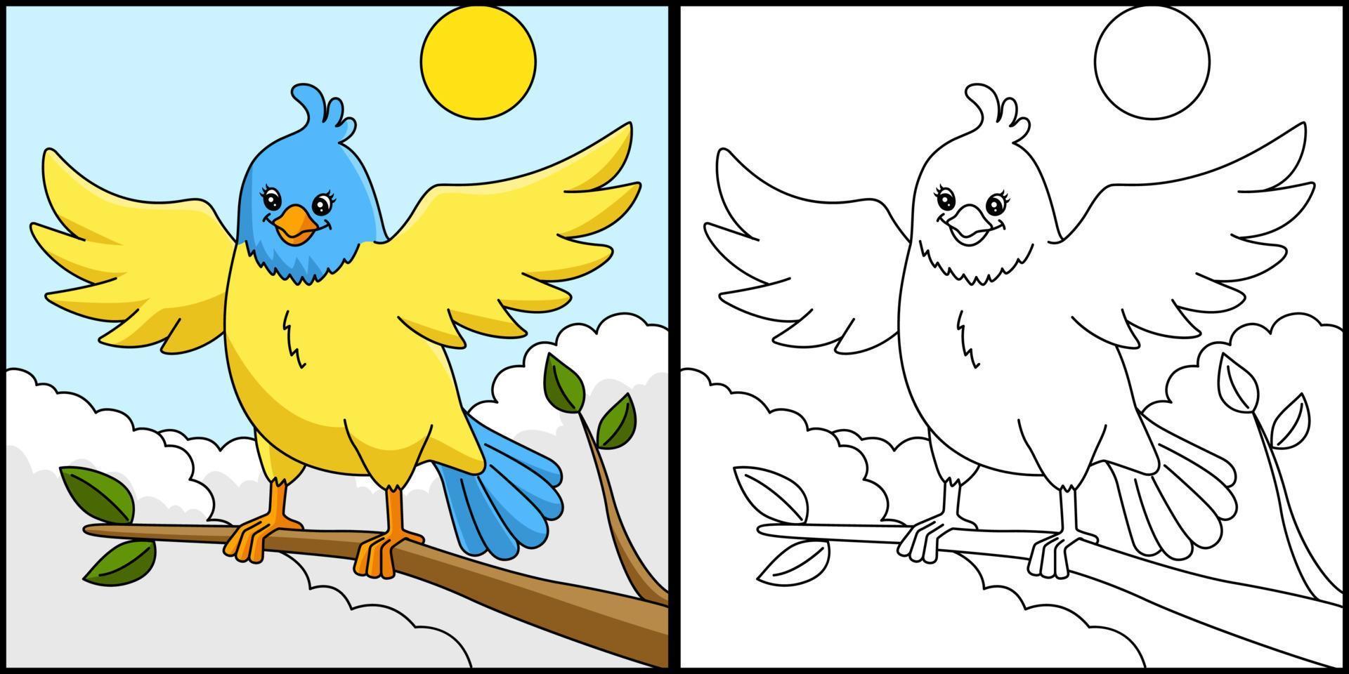 Bird Coloring Page Colored Illustration vector