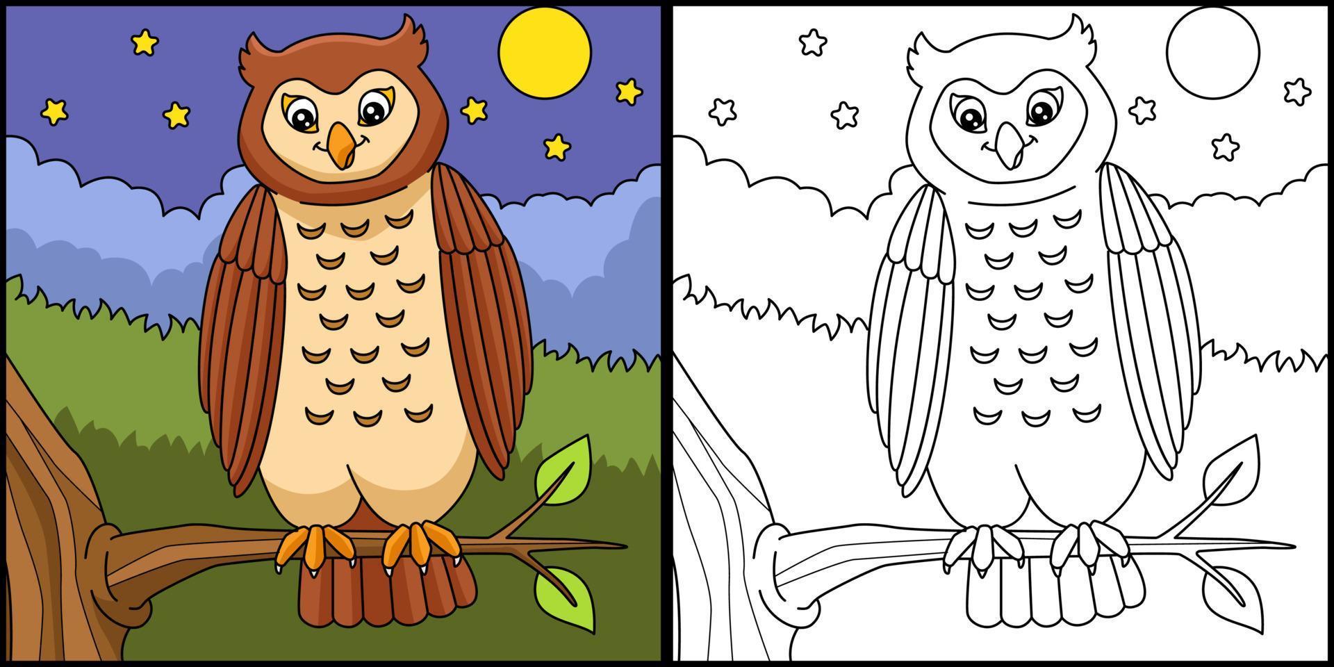 Owl Coloring Page Colored Illustration vector