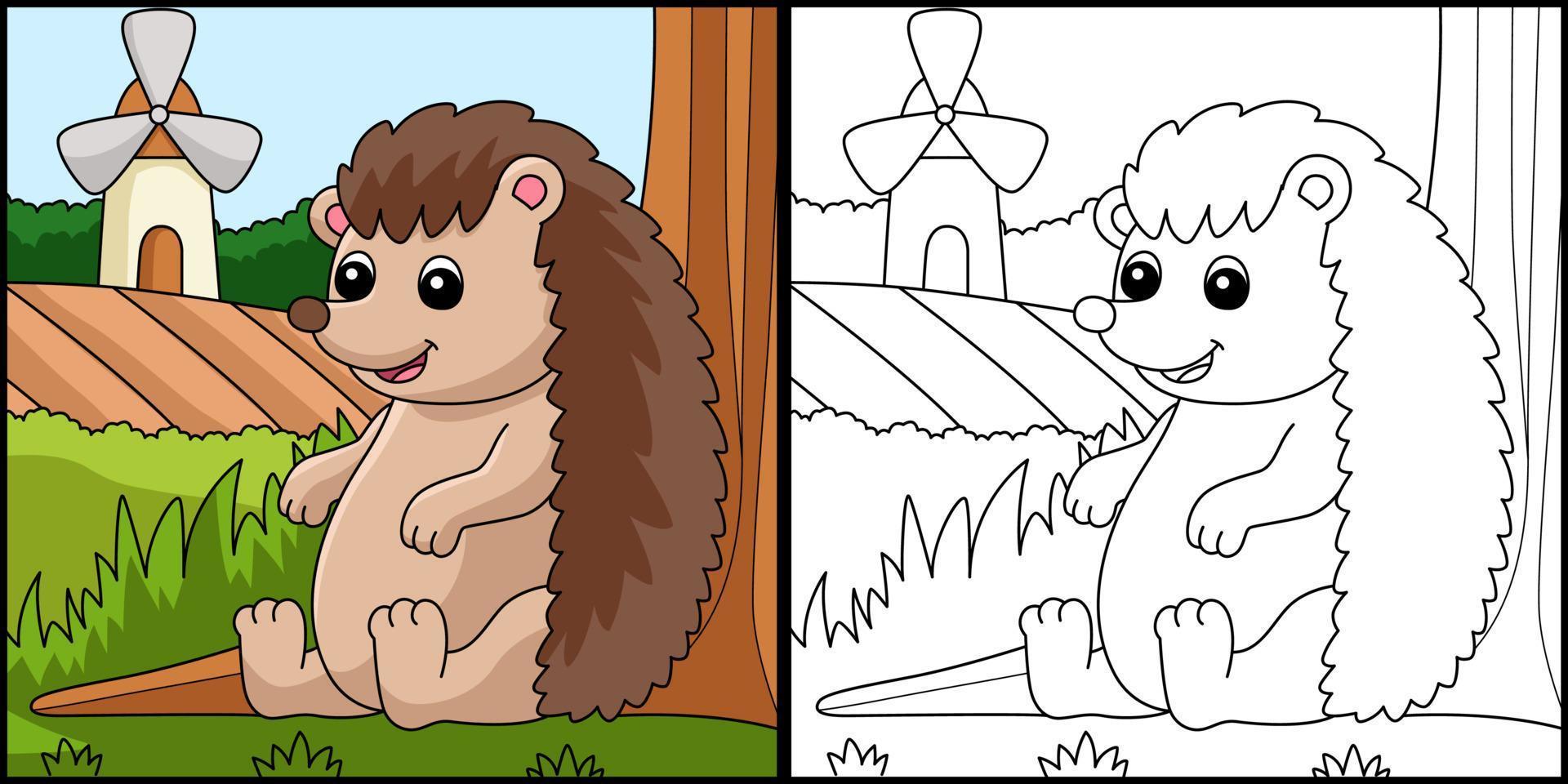 Hedgehog Coloring Page Colored Illustration vector