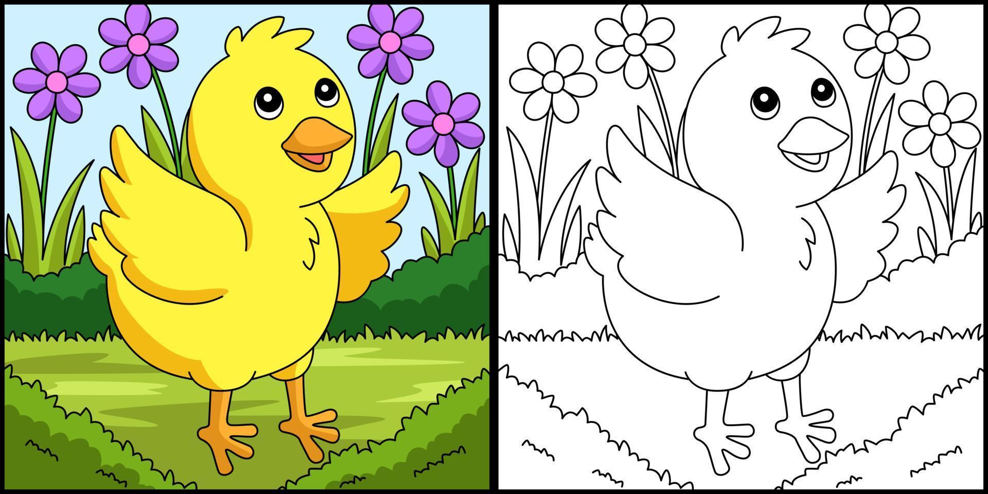 Chick Coloring Page Colored Illustration vector