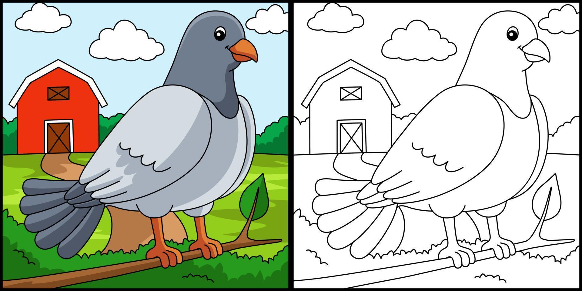 Pigeon Coloring Page Colored Illustration vector