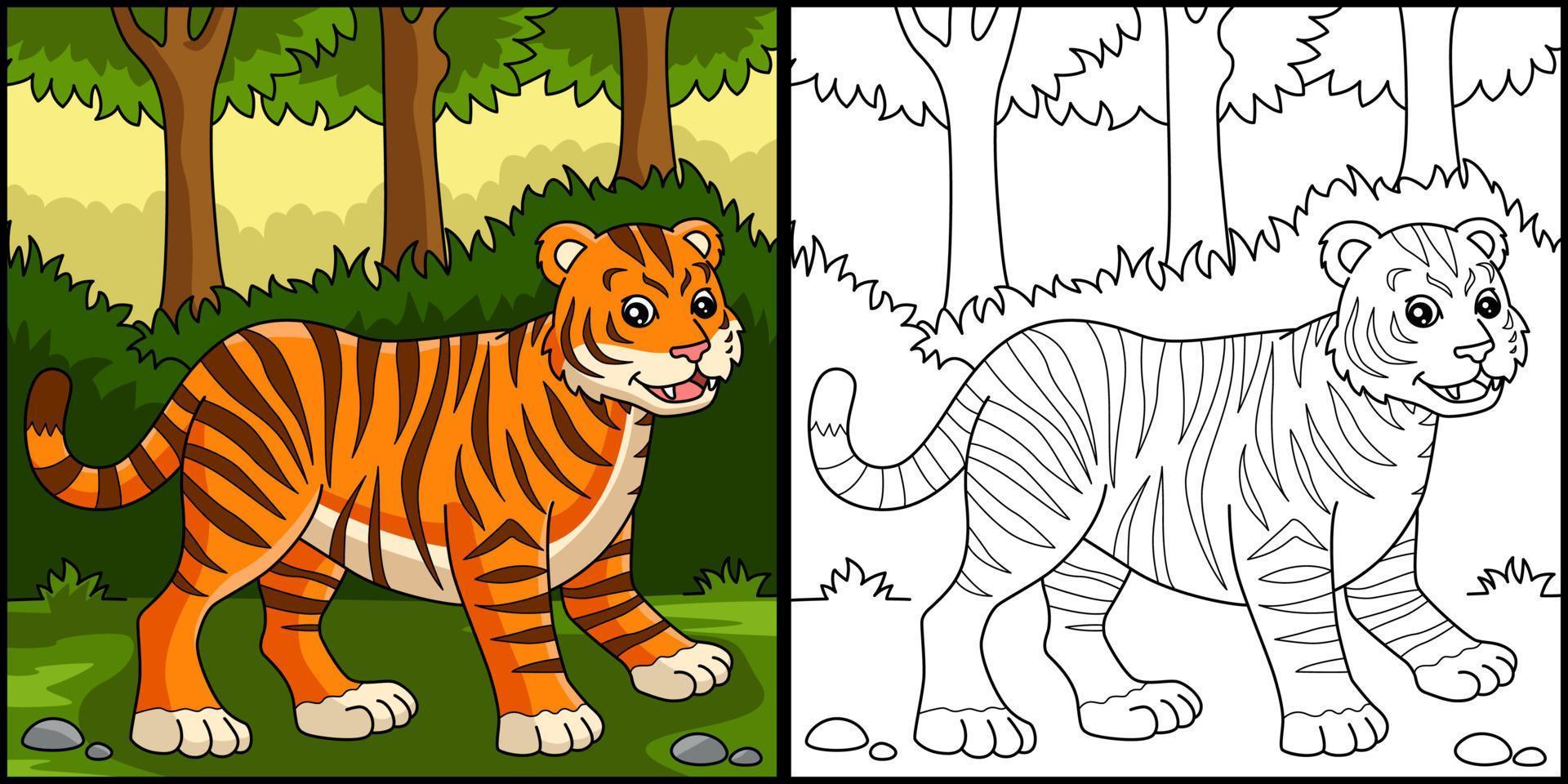 Tiger Coloring Page Colored Illustration vector