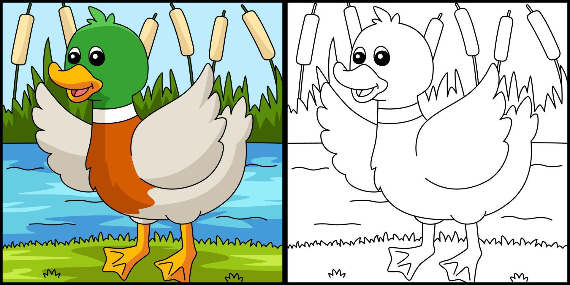 Duck Coloring Page Colored Illustration vector