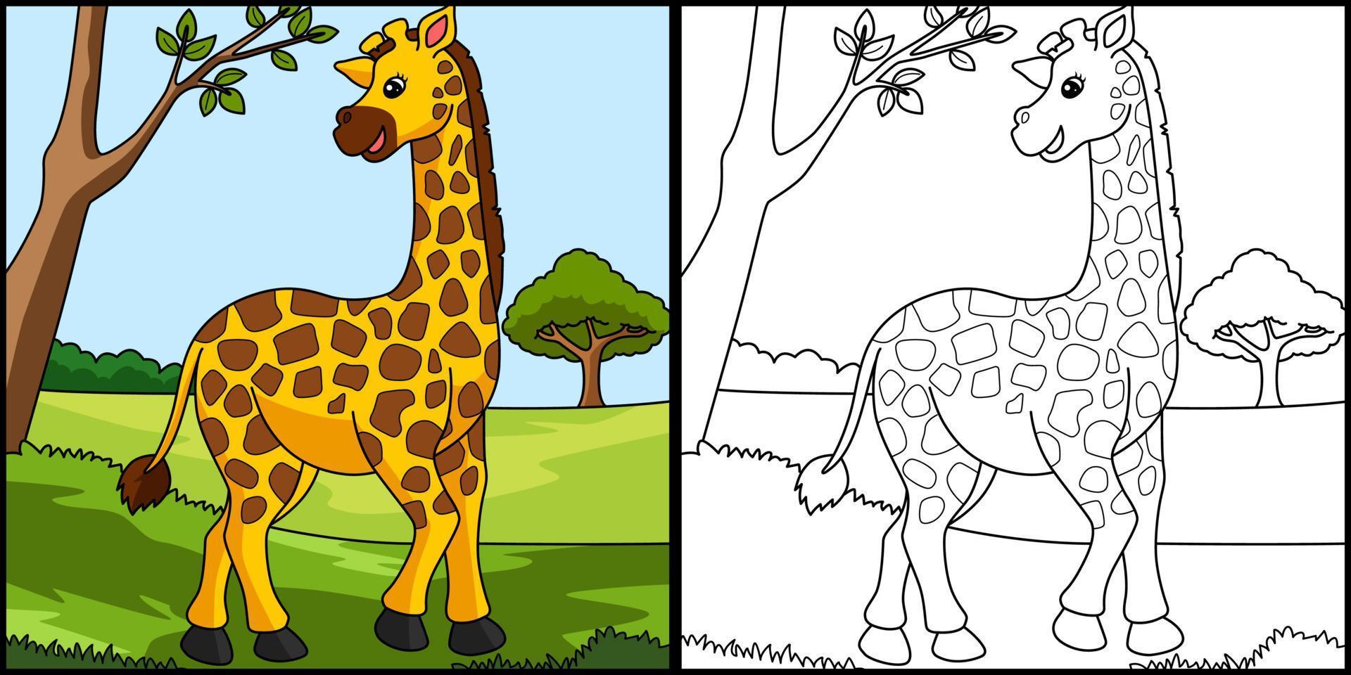 jirafa para colorear página coloreada ilustración vector
