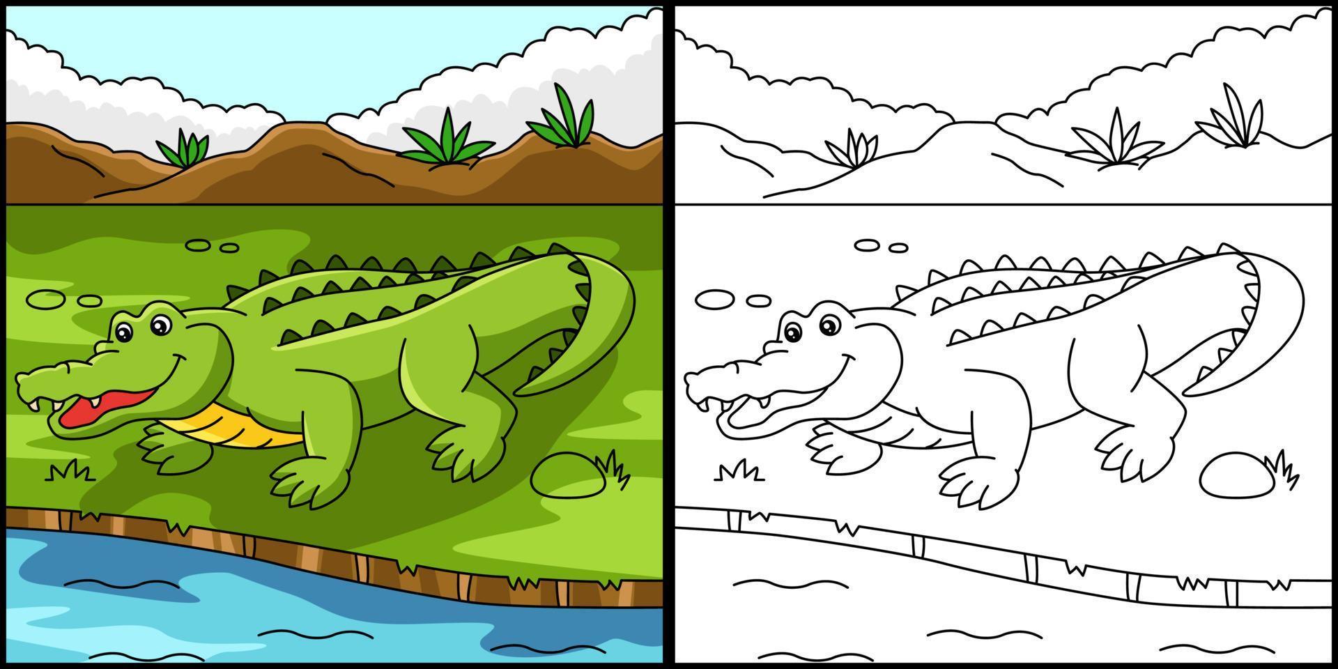 Crocodile Coloring Page Colored Illustration vector