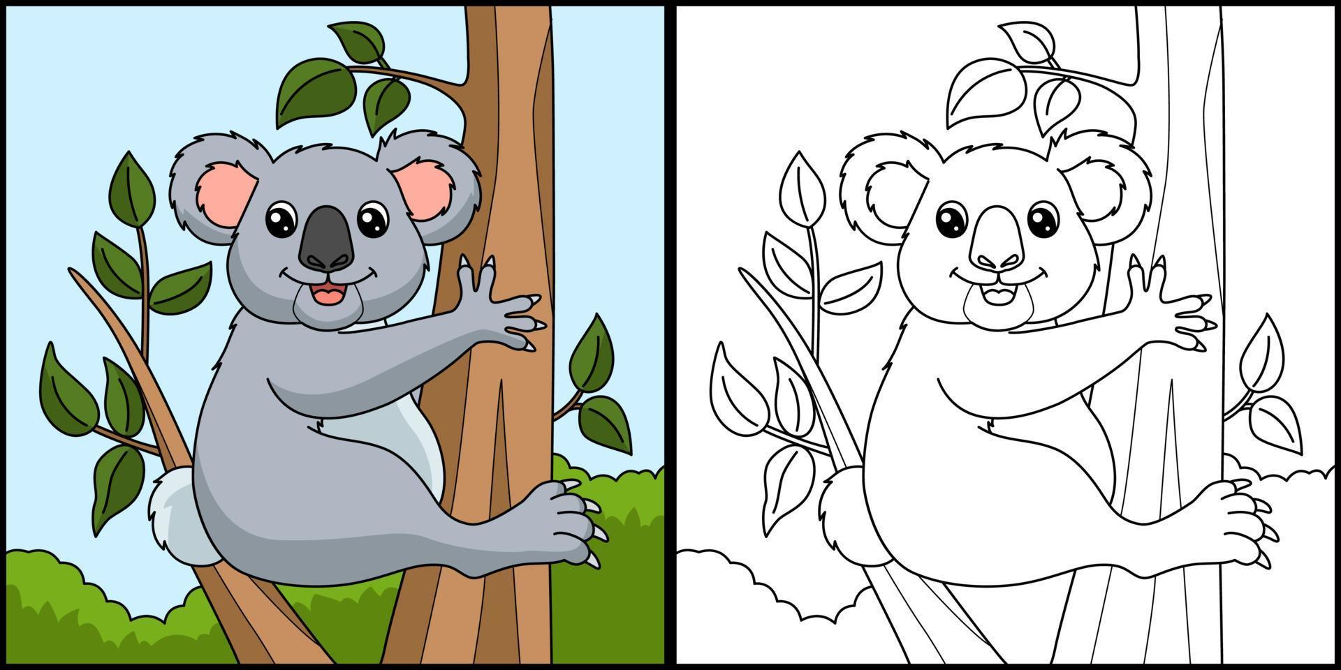 Koala Coloring Page Colored Illustration vector