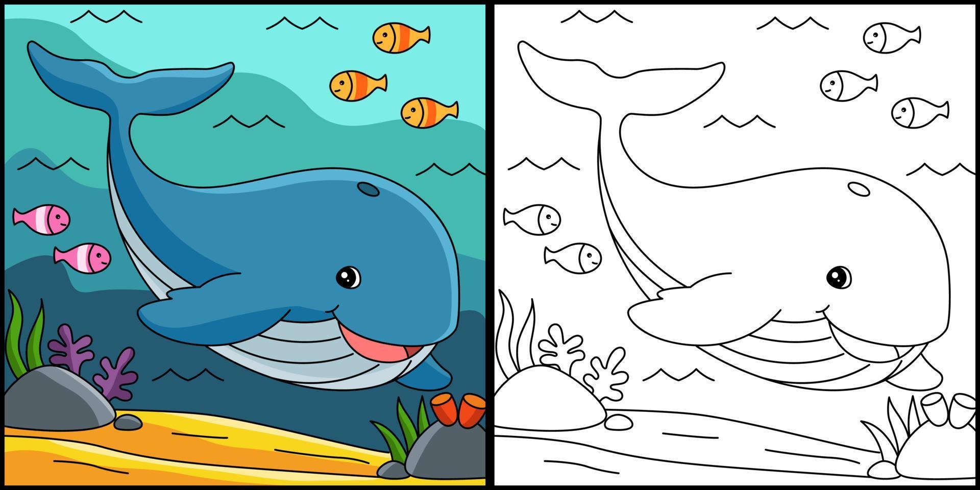 ballena para colorear página coloreada ilustración vector