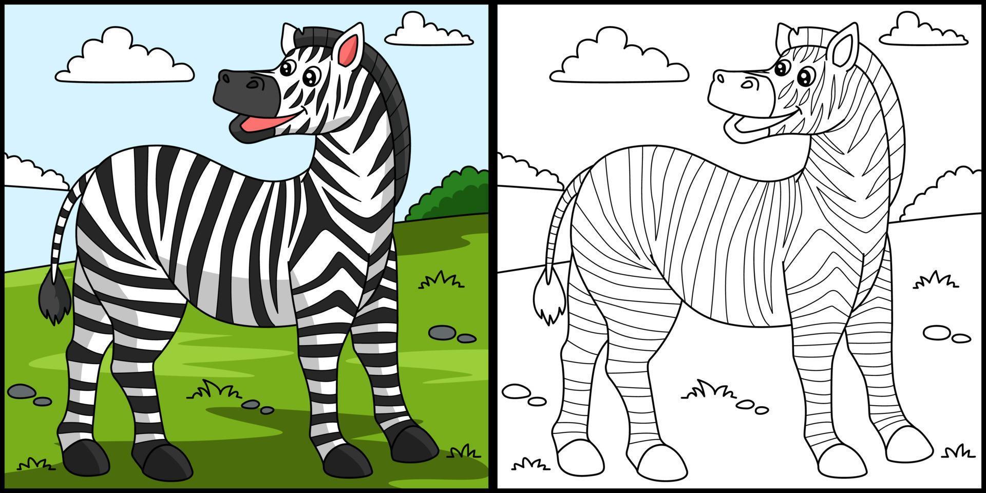 Zebra Coloring Page Colored Illustration vector