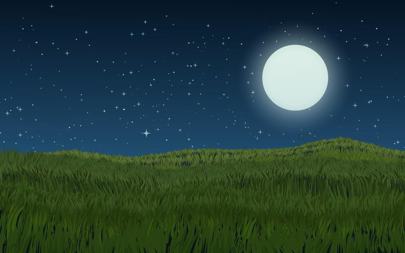 Meadow in the moonlight. Beautiful night in grassland vector