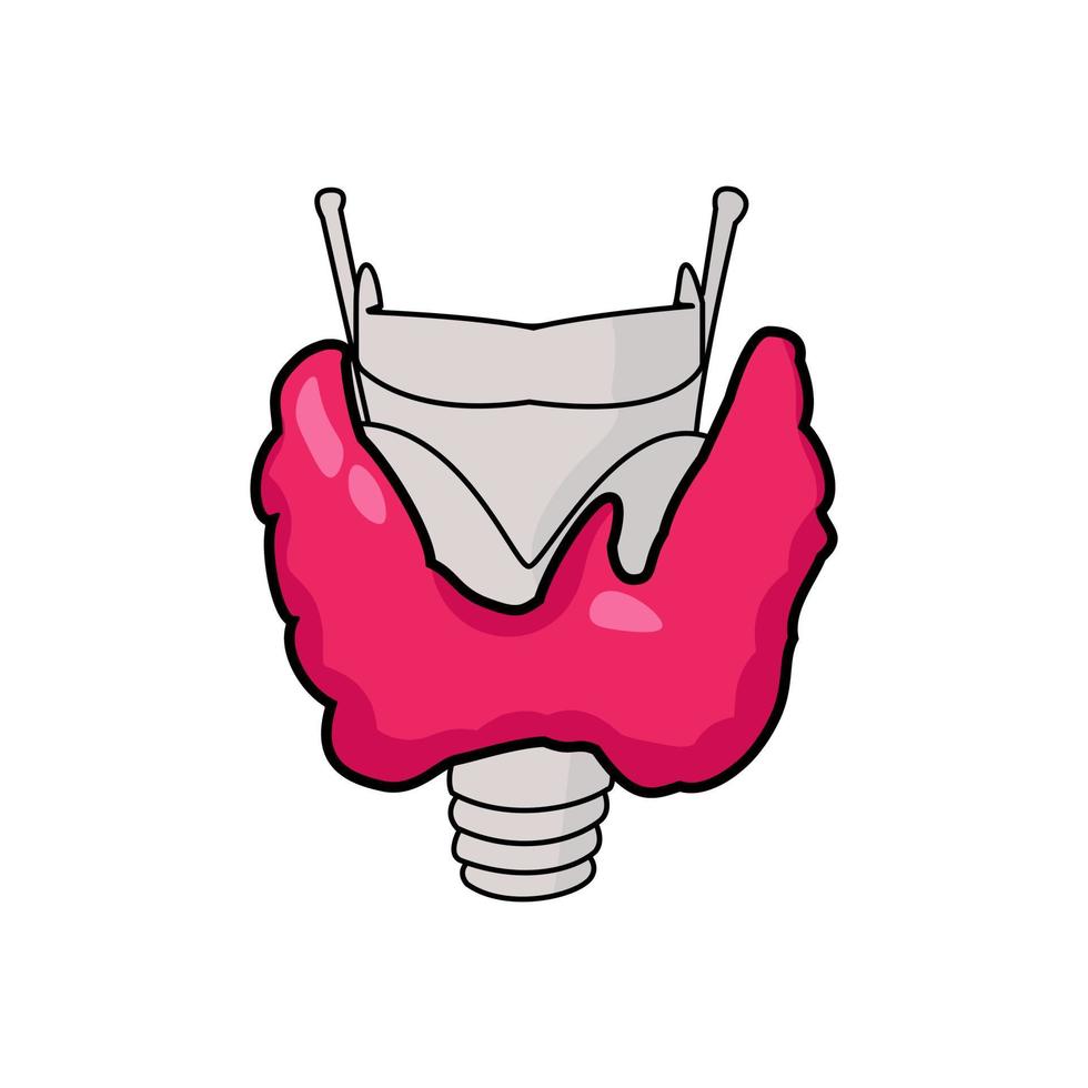 representación esquemática de la glándula tiroides, parte del sistema endocrino humano y su ubicación con el cartílago de la laringe vector