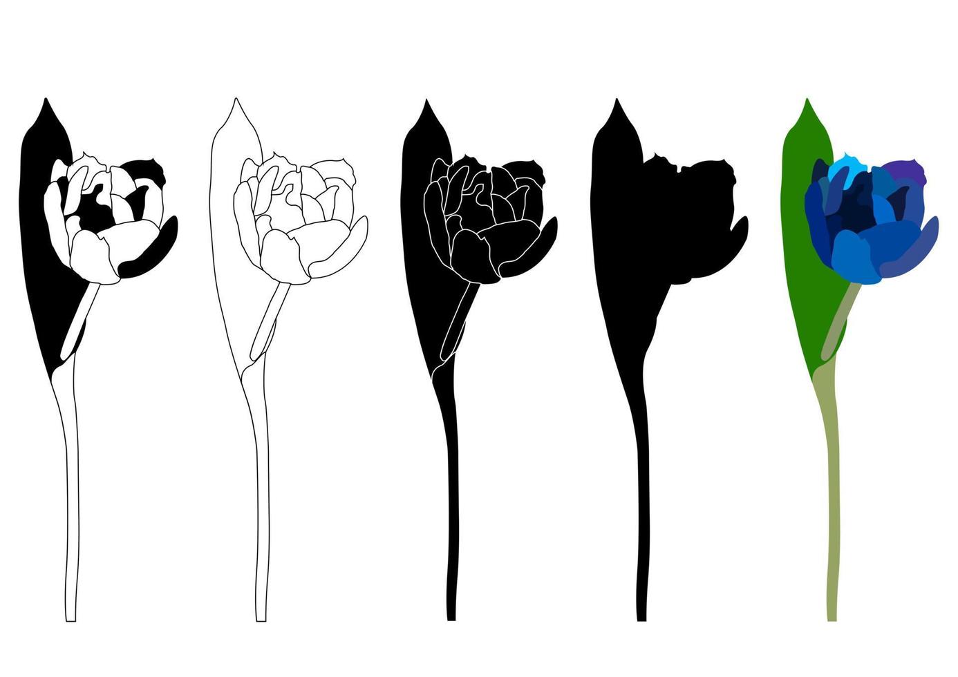 silueta de contorno de boceto conjunto aislado de flor de tulipán. dibujo de línea de garabato. vector